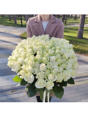 Букет 101 White roses