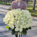 Букет 101 White roses