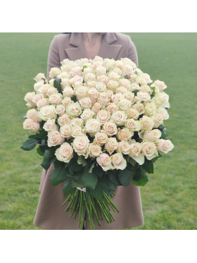 Букет 101 Сream roses